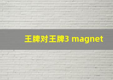 王牌对王牌3 magnet